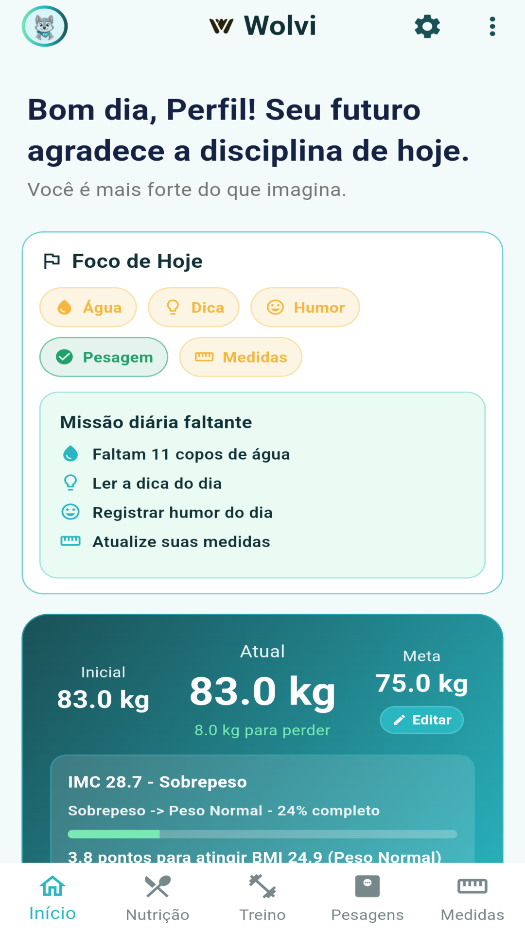 Painel do Wolvi com resumo de peso, alimenta&ccedil;&atilde;o, hidrata&ccedil;&atilde;o e rotina